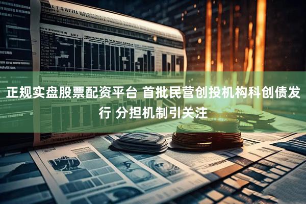 正规实盘股票配资平台 首批民营创投机构科创债发行 分担机制引关注