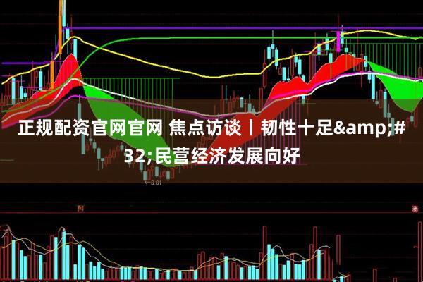 正规配资官网官网 焦点访谈丨韧性十足&#32;民营经济发展向好