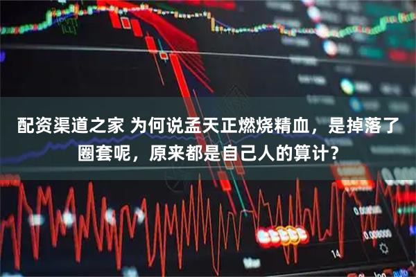 配资渠道之家 为何说孟天正燃烧精血，是掉落了圈套呢，原来都是自己人的算计？